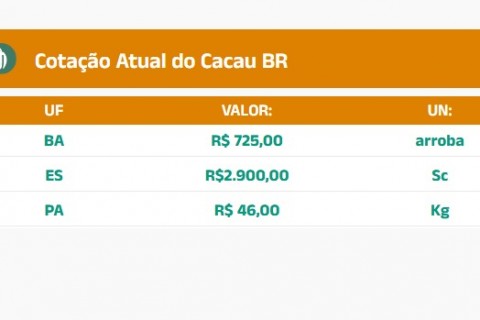 Cotação do Cacau